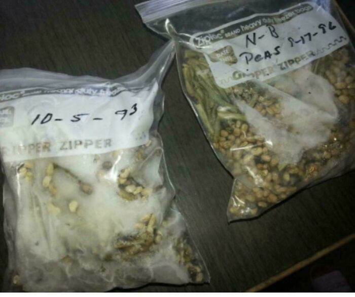 "Grandma's Freezer"