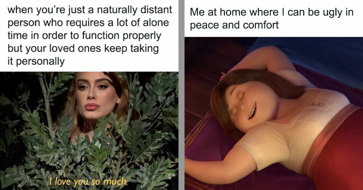 This Month's Best Memes For Introverts Who Love Their Alone Time