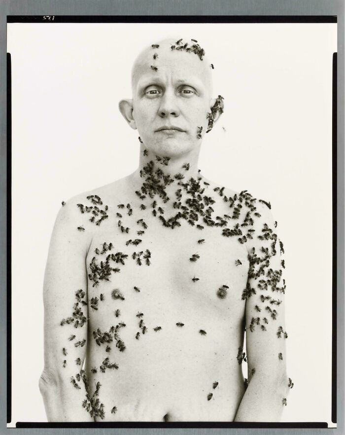 Ronald Fischer, Beekeeper, Davis, California, 5/9/81 By Richard Avedon