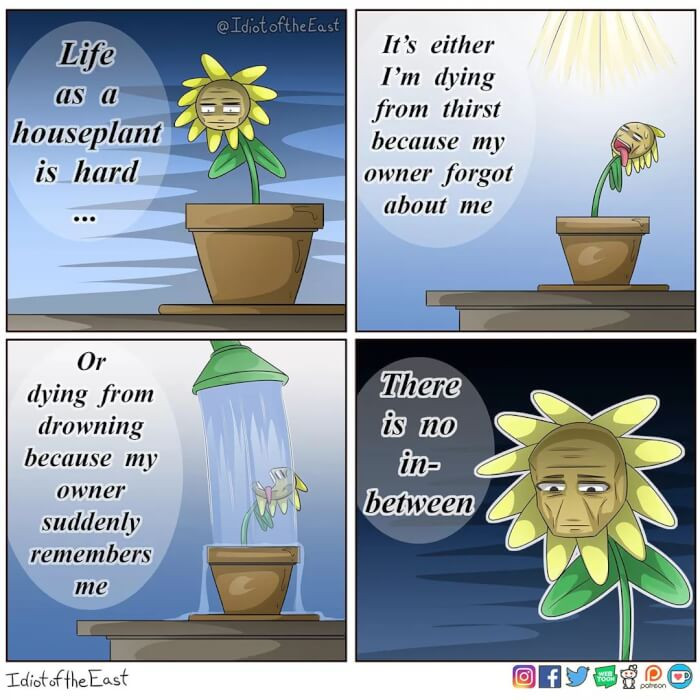 20. There is No In-Between for a House Plant