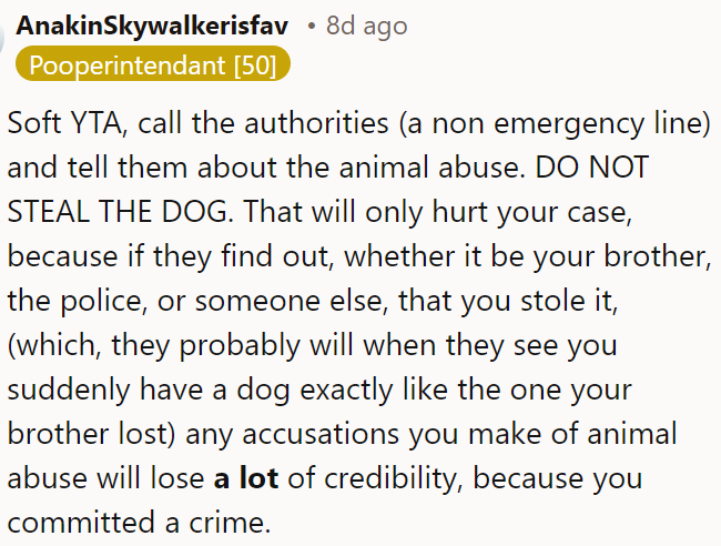 OP can contact authorities on a non-emergency line to report the animal abuse.