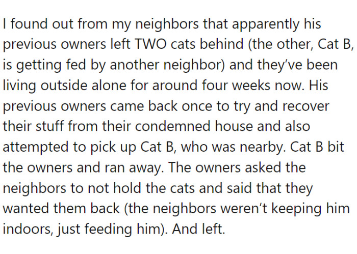 OP took them in, and now they are looking for good homes for them