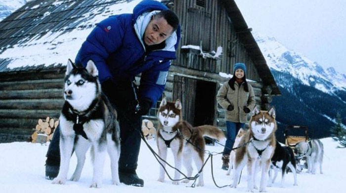 18. Snow Dogs