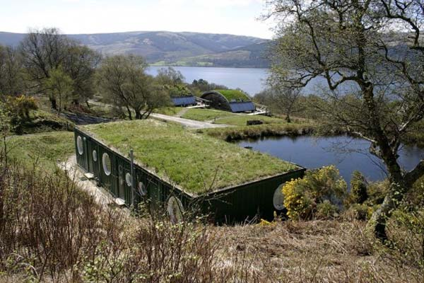 13. This one even has vegetation!