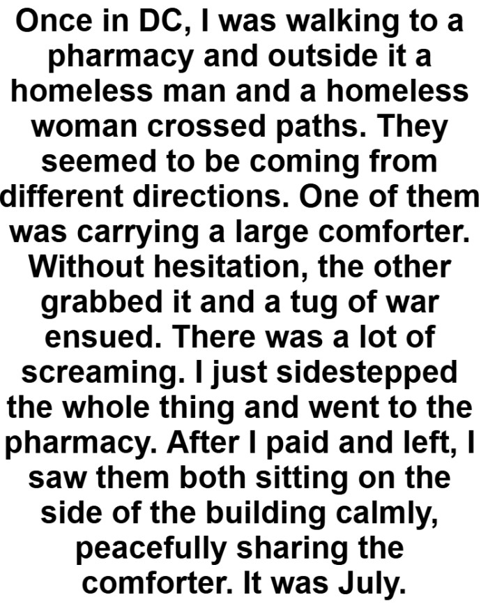 22. Comment by Redditor burritodominator