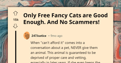 Entitled Pet Seeker Ridiculed For Demanding Purebred Kitten At Bargain Price