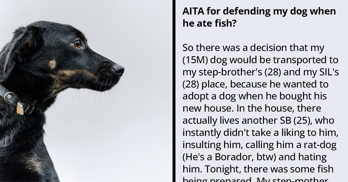 OP Defends His Dog Against His Stepmother After He Ate Food Left On The Floor