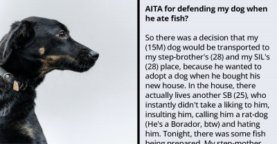 OP Defends His Dog Against His Stepmother After He Ate Food Left On The Floor