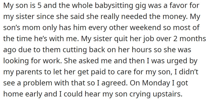 The OP explained they hired their sister to babysit their son because she needed a job: