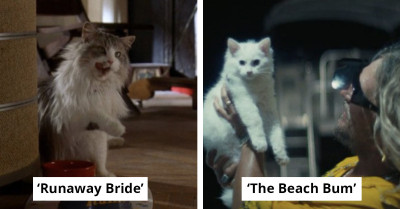 Someone Created An X Page Dedicated to Cats in Movies, And Here Are 83 Films You Never Knew Had One