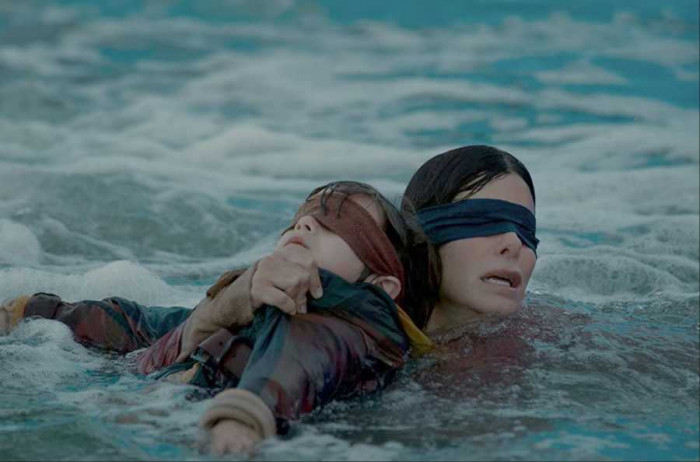 2. Bird Box