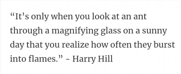 24. So ants burst into flames? Or wait a minute...