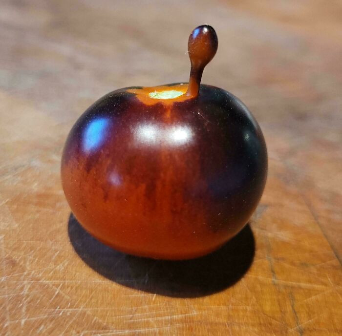 "My Tomato Appears To Be Phoning Home 😅"