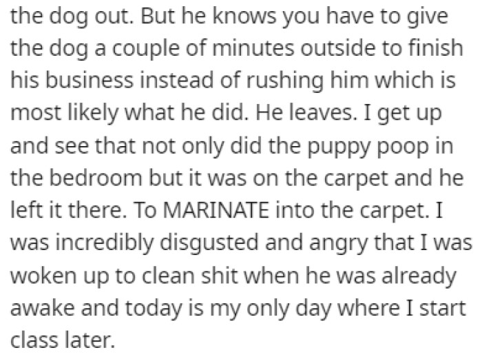 The husband stayed in the room with the puppy, who ended up pooping on the carpet