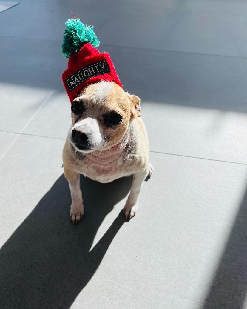 6. The hat might’ve said naughty, but Santa definitely gave him a pass for being so adorable.