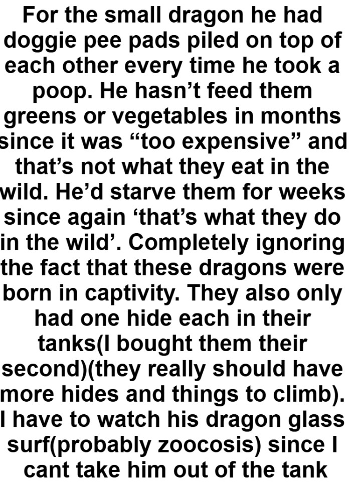 OP's Brother Ignores the Fact That These Dragons Were Born in Captivity