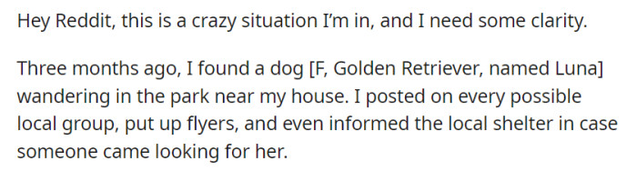 OP found a lost Golden Retriever named Luna and made extensive efforts to find her owner, but they have been unsuccessful. Now, they need advice on the next steps.