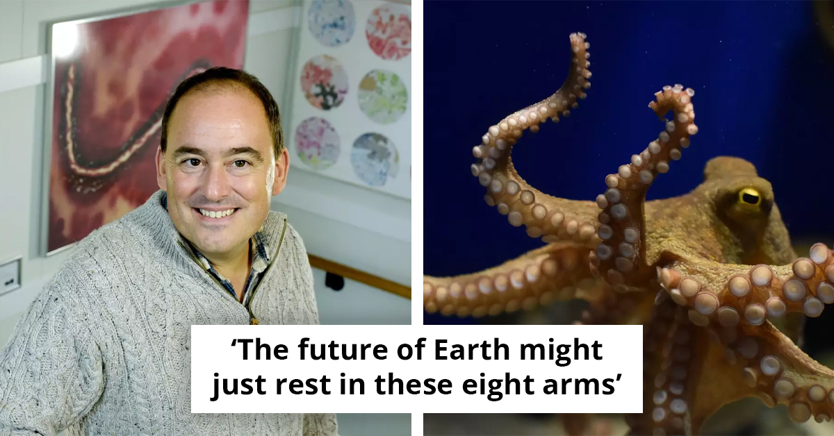 Scientists Believe This Creature Could Take Over The Earth After Humans Go Extinct
