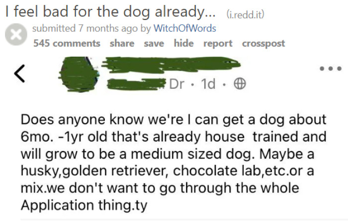 The original owner feels bad for the dog this person intends to get.