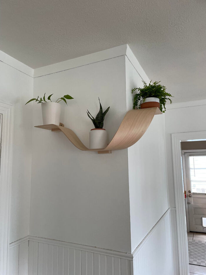 "Curved Shelf Experiments"