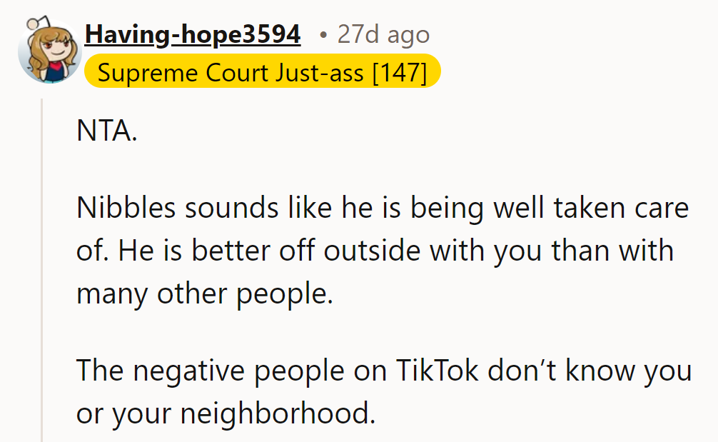 He's NTA. Nibbles is well cared for and better off with him. TikTok critics don't understand his situation.