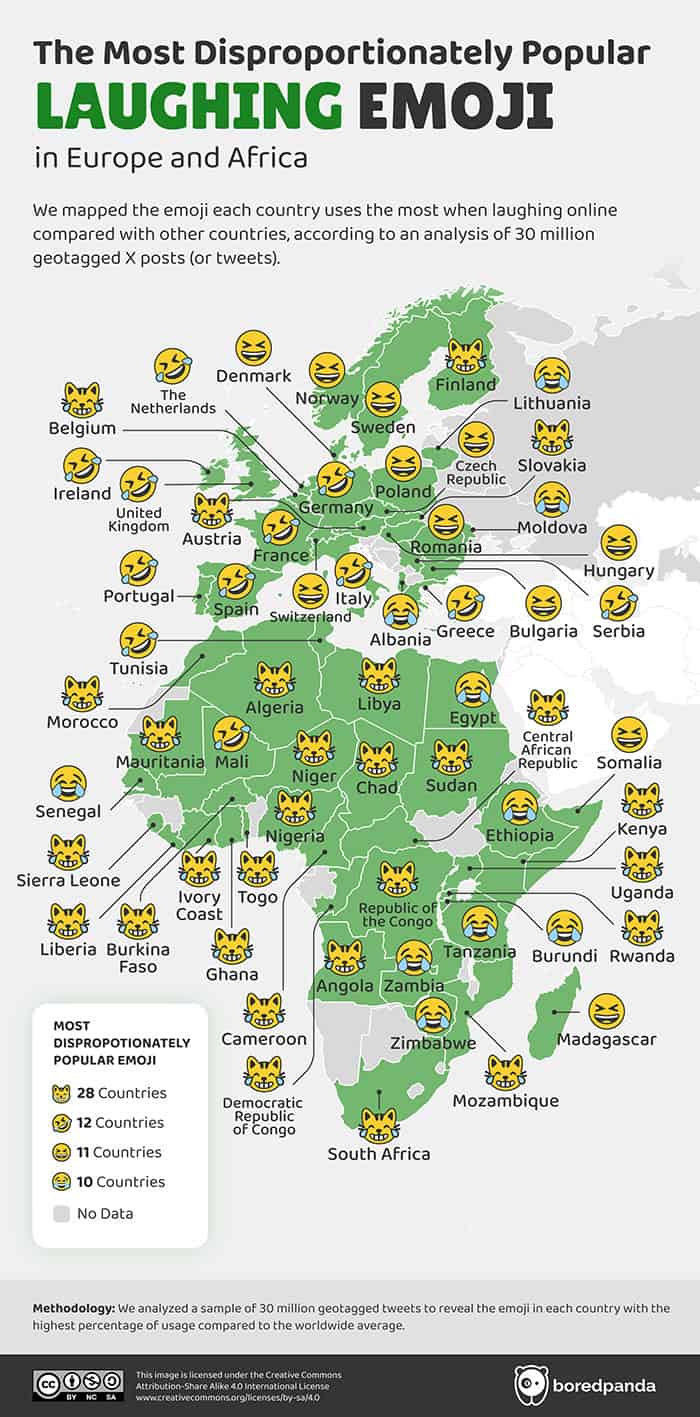 4. Spoiler alert—cats are funnier than you think!