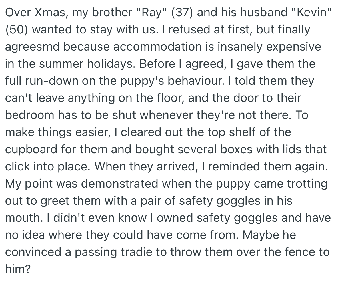 Over Xmas, OP’s brother and his husband came to stay shortly. Before the came, OP warned them about the puppy’s behavior