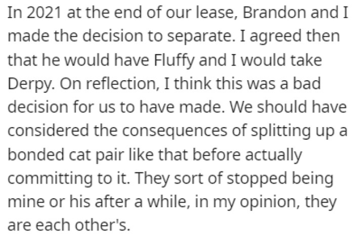 The two cats were the best of friends, but they ended up being separated after their owners moved out