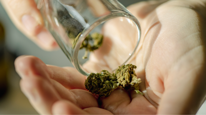 Close-up of a cannabis dosage scale and label, emphasizing precise microdosing control and consistency