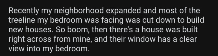 Op previously didn't have to worry about his neighbors seeing him in that state until a house was built facing his window.