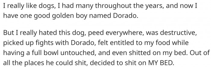 The dog was poorly trained, which caused many problems.