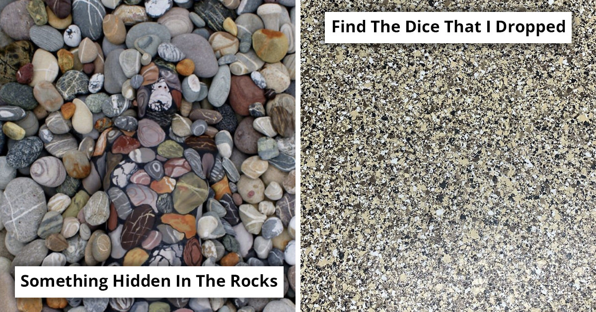 Online Group Shares 40 Perfectly Camouflaged Pictures That Will Probably Take You Some Time To Figure Out