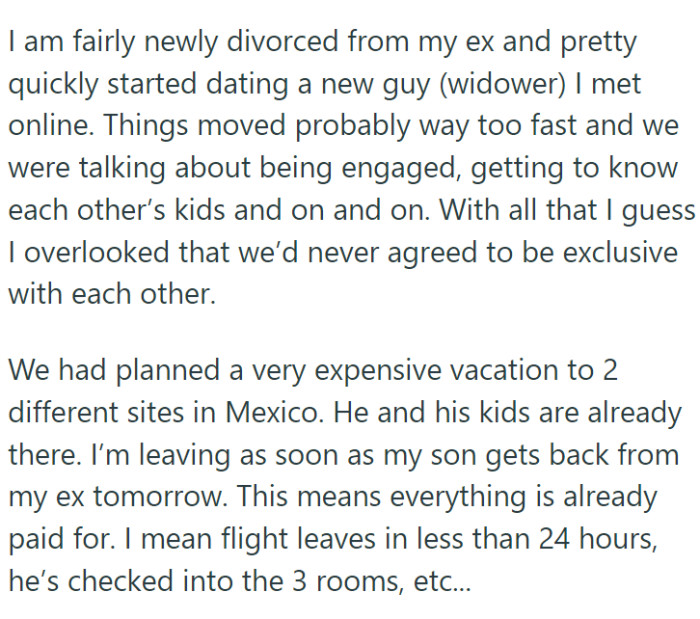 OP is a newly divorced mom who quickly jumped into a new relationship with a widower she met online. Their relationship took off at lightning speed: they were talking about getting engaged and were even planning a family vacation to Mexico with their kids.