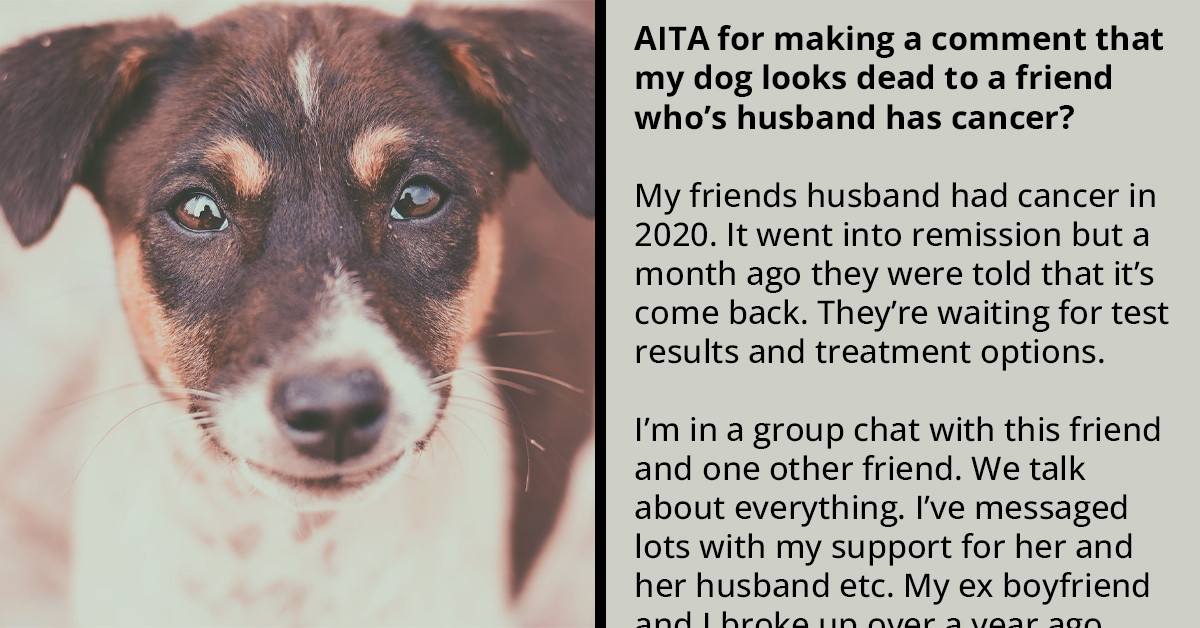 Woman Wonders If It Was Wrong To Make A Comment About Her Dog Looking Dead When Her Friend's Husband Has Cancer