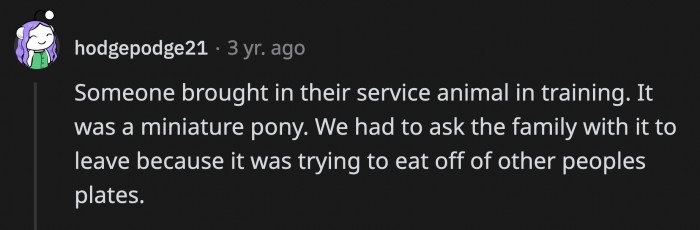 28. That pony behaved better than the other half of the people on this list