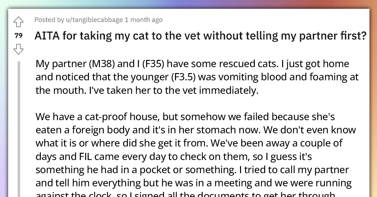 Woman Takes Pet Cat to the Vet Because of an Emergency, Gets Called Incredibly Selfish for Not Asking Her Partner Before Doing So