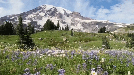 13. Mount Rainier in Washington