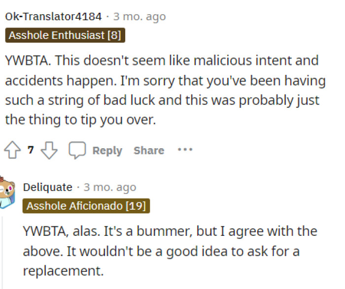 Many people are still insisting that OP will be the TA if she asks because it was clearly an accident.