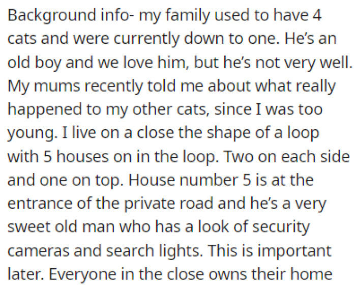 OP's family used to own four cats, but they were down to just one
