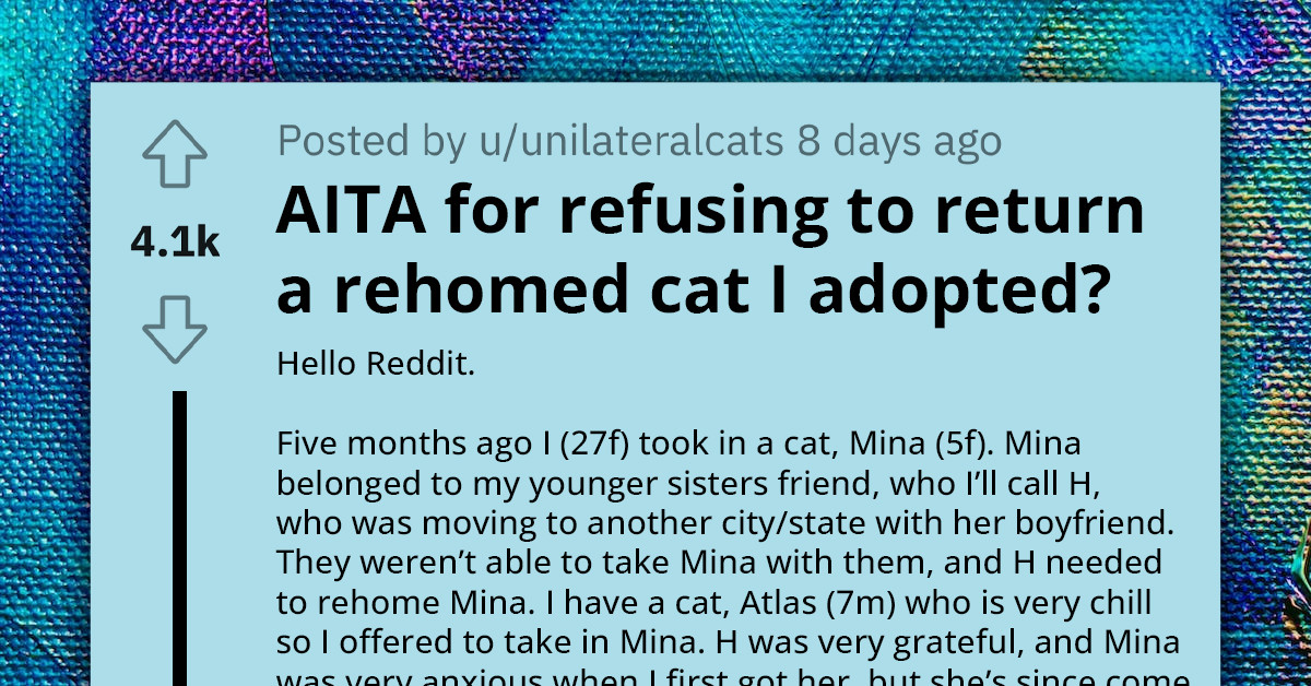 Redditor Locked In Heated Standoff For Refusing To Return Friend’s Cat After Adopting It Following Friend's Not-So-Brief Relocation