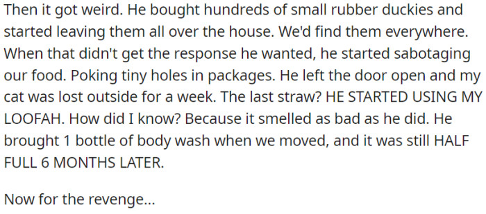 The situation escalated strangely when he filled the house with rubber duckies and began sabotaging OP's belongings, prompting OP to consider revenge.
