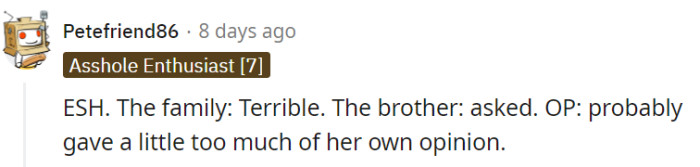 It's clear that both the family and the OP share responsibility in this situation.