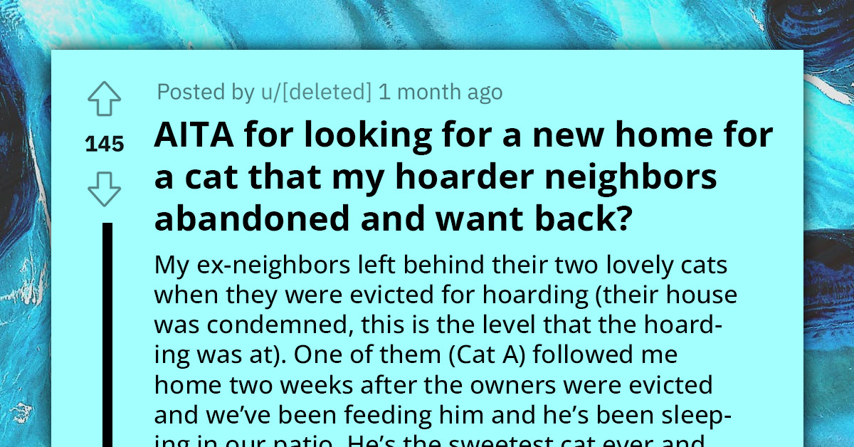 Redditor Wonders If It's Okay To Rehome Cats Their Ex-Neighbors Left Behind
