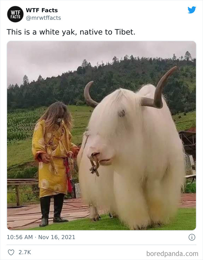 7. And it is beautiful