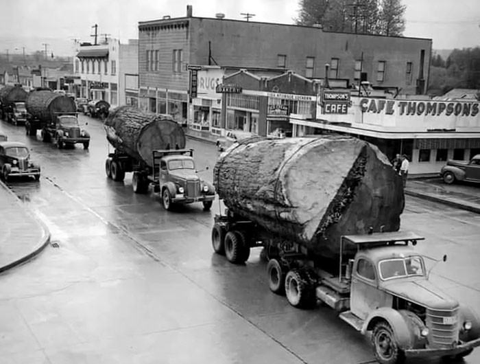 Log Trucks In North Bend, Washington, 1943, Us