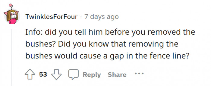 All we know is that it was OP’s backyard. He’s free to add or remove anything in it.