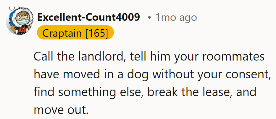 She should ring the landlord and explain how her roommates snuck in a surprise pup.
