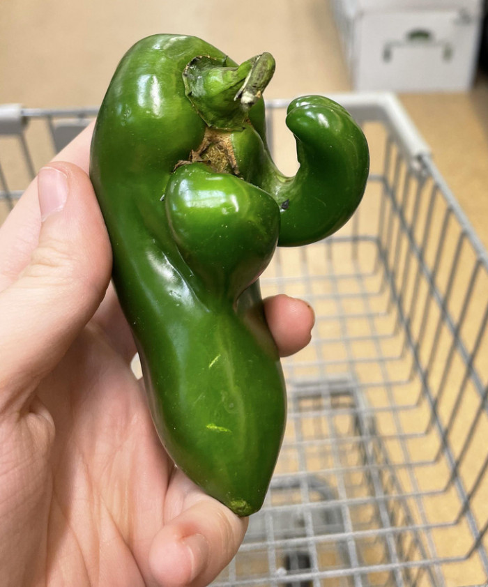 4. This pepper wants to fight: