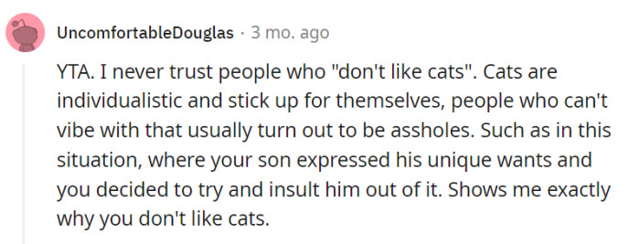 How can you not like cats?