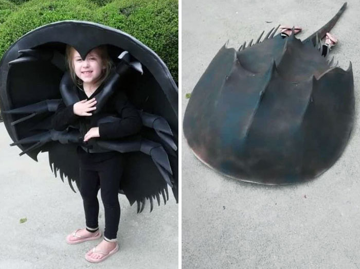 27. This Next Level Horseshoe Crab Halloween Costume